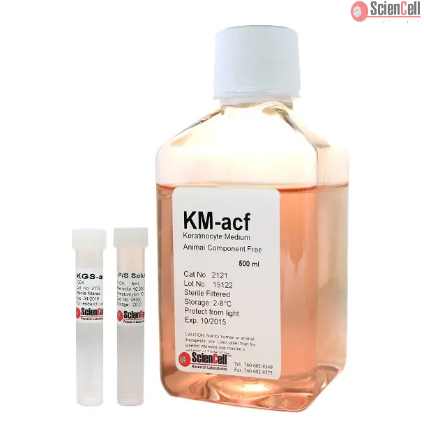 Keratinocyte Medium-animal component free