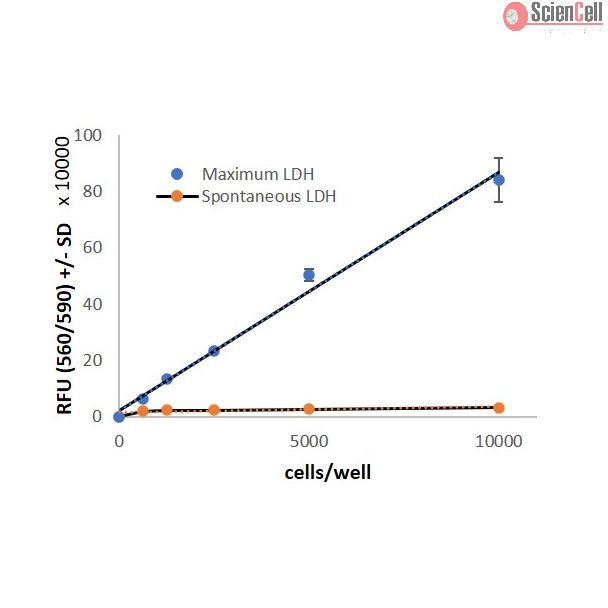 LDH Cytotoxicity Assay-Fluorescence
