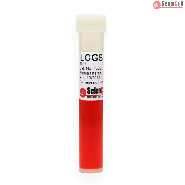 Leydig Cell Growth Supplement