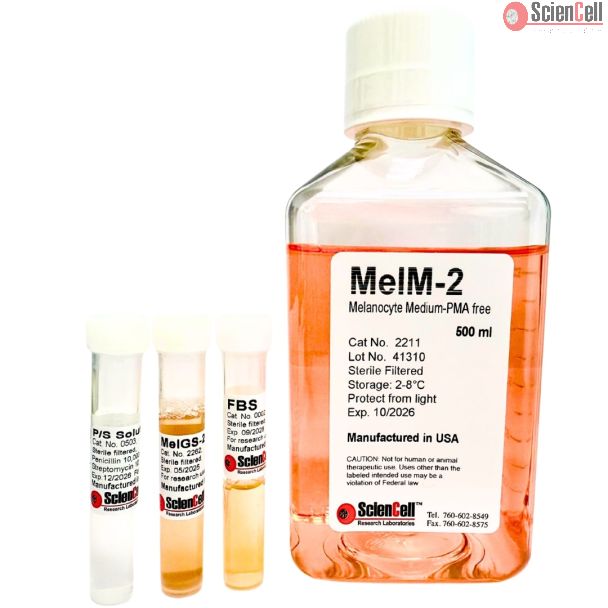 Melanocyte Medium-PMA free