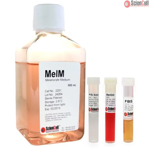 Melanocyte Medium