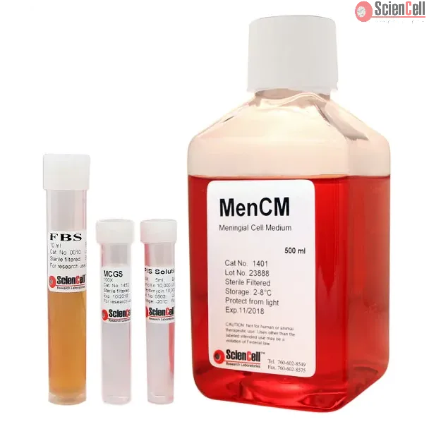 Meningeal Cell Medium