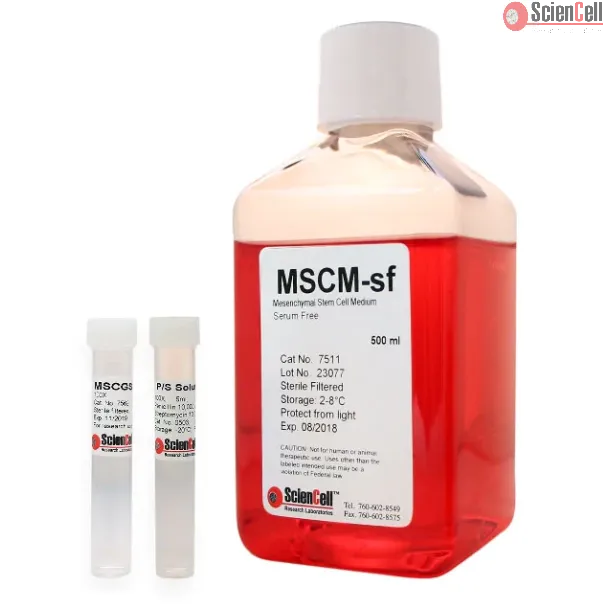 Mesenchymal Stem Cell Medium-serum free
