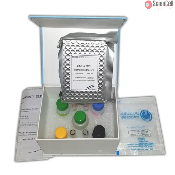 Mouse Laminin ELISA Kit