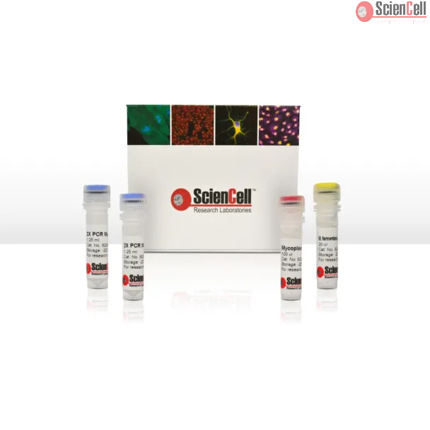 Mycoplasma PCR Detection Kit - Mycoplasma PCR Test