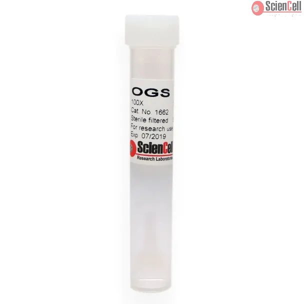 Oligodendrocyte Growth Supplement