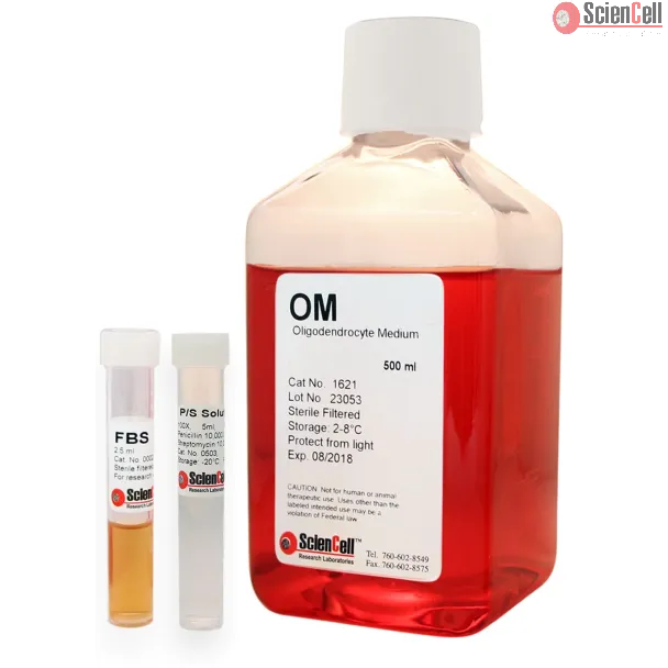 Oligodendrocyte Medium