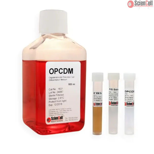 Oligodendrocyte Precursor Cell Differentiation Medium