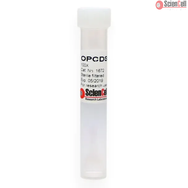 Oligodendrocyte Precursor Cell Differentiation Supplement
