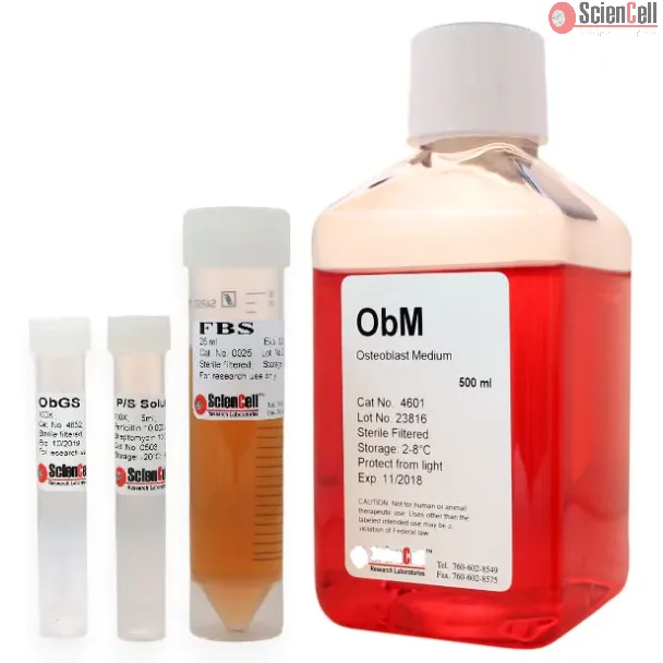 Osteoblast Medium