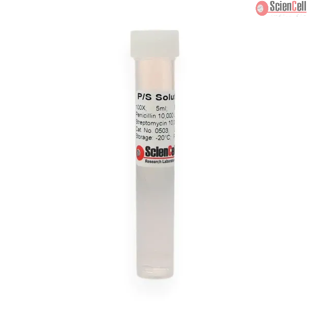 Penicillin-Streptomycin Solution (P/S)