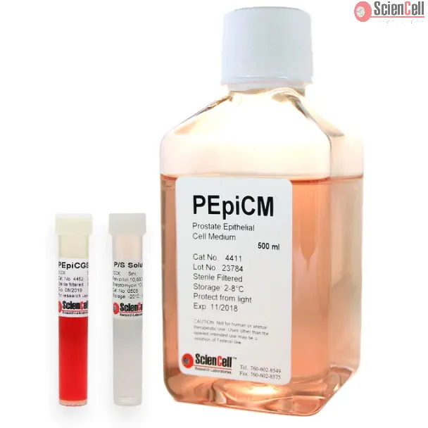Prostate Epithelial Cell Medium