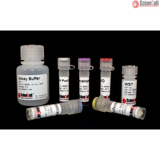 Pyruvate dehydrogenase Assay