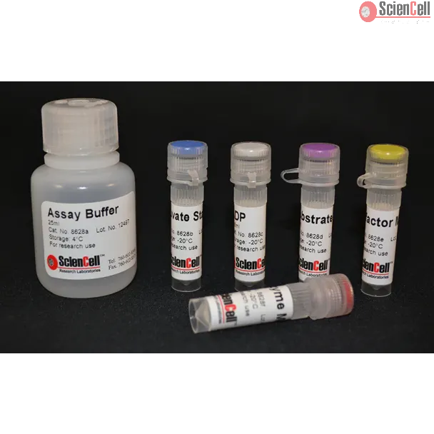 Pyruvate Kinase Assay