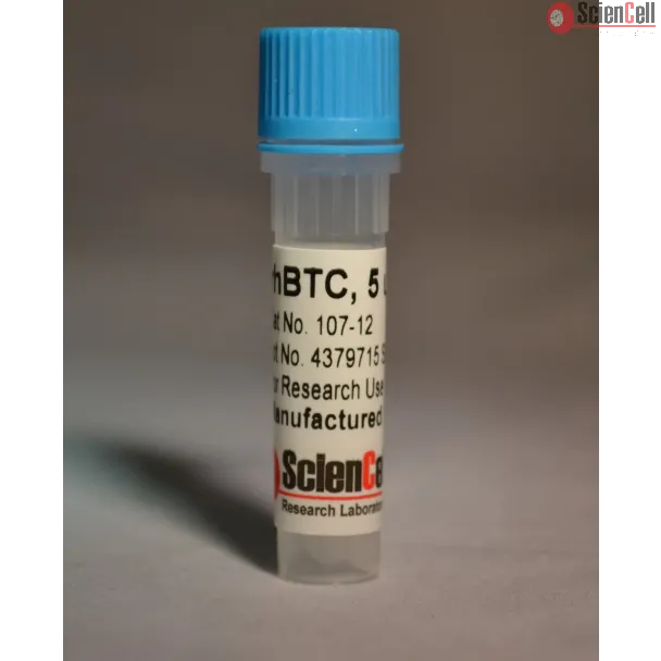 Recombinant Human Betacellulin