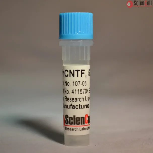 Recombinant Human Ciliary Neurotrophic Factor 