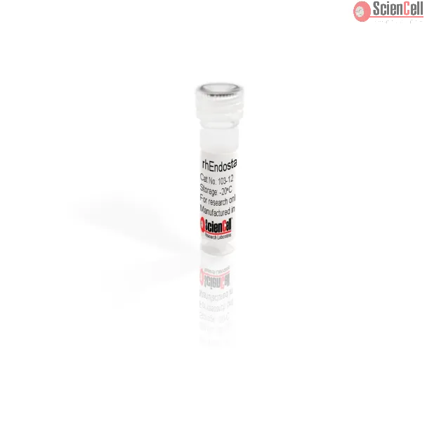 Recombinant Human Endostatin