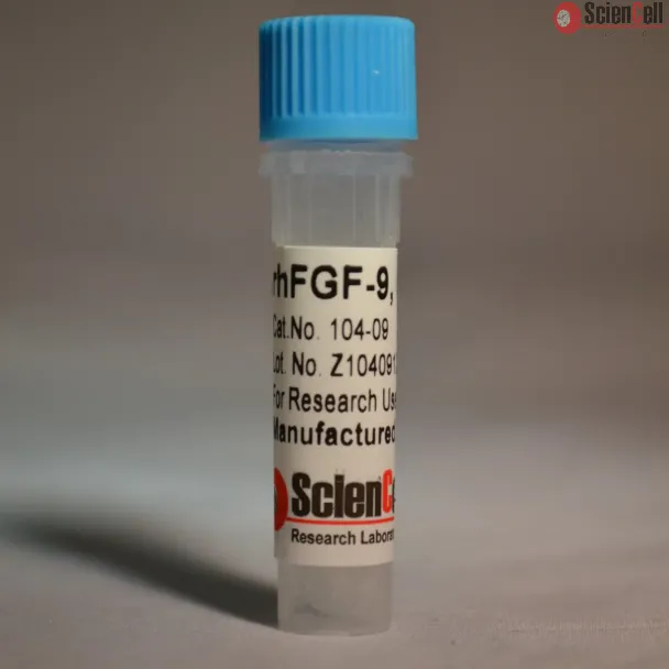 Recombinant Human Fibroblast Growth Factor-9