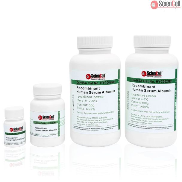Recombinant Human Serum Albumin