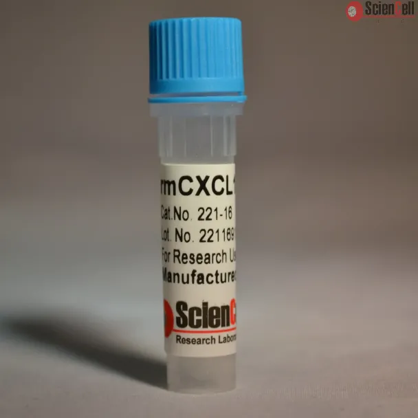 Recombinant Murine CXCL16