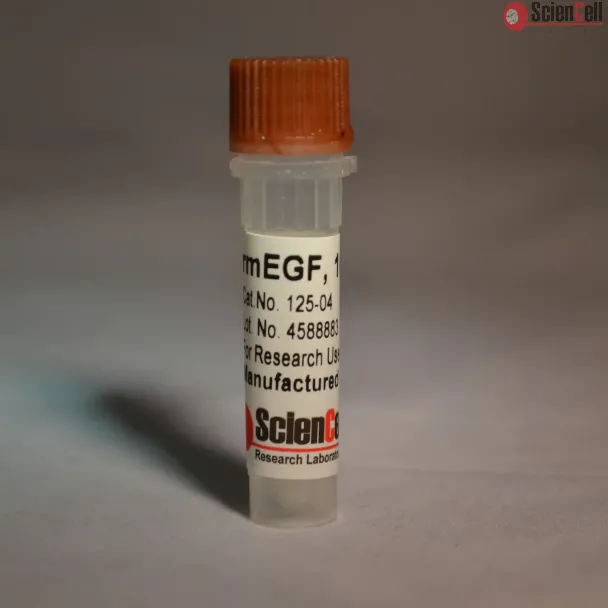 Recombinant Murine EGF