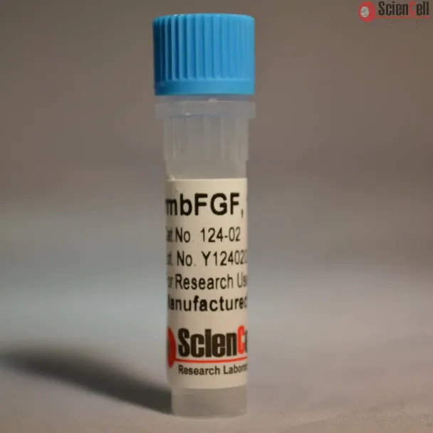 Recombinant Murine FGF