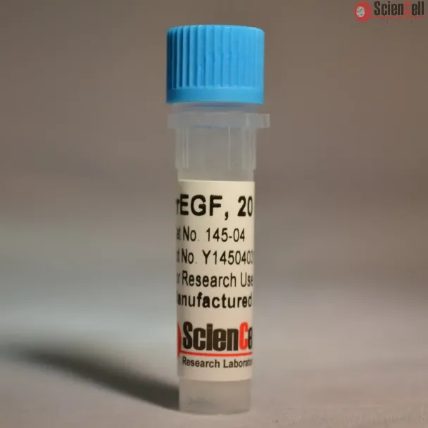 Recombinant Rat Epidermal Growth Factor 