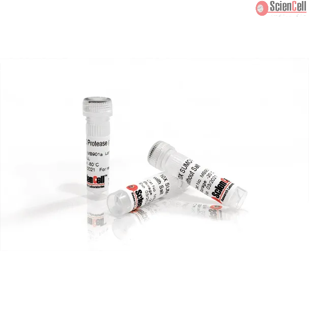 Recombinant yeast SUMO Protease 500 units