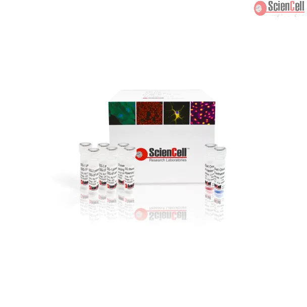 SARS-CoV-2 S Gene PCR+Sanger Sequencing Kit 