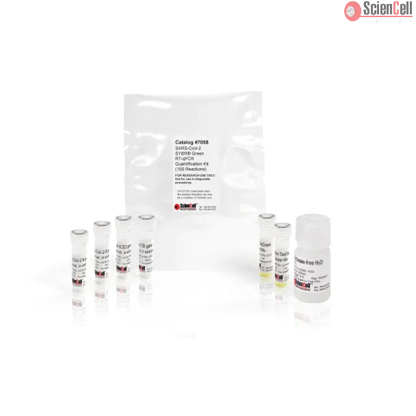 SARS-CoV-2 SYBR® Green RT-qPCR Quantification Kit
