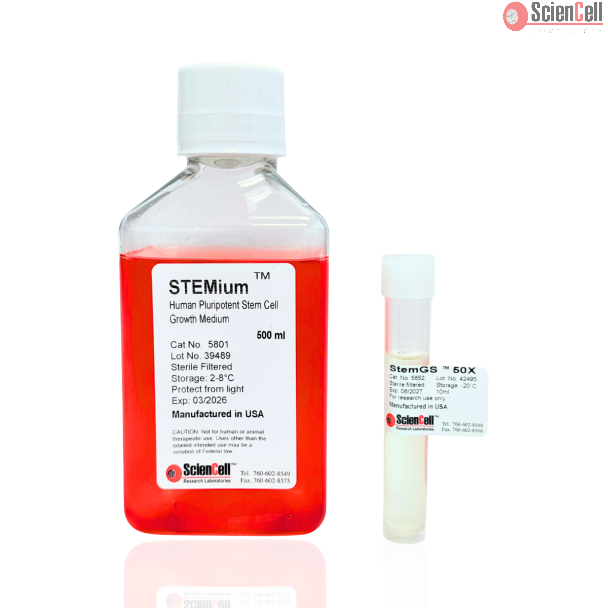 STEMium™ 人类多能干细胞生长培养基