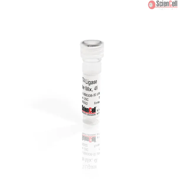 SwifT4 Ligase Master Mix, 4X