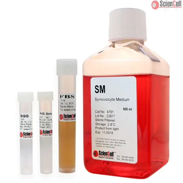 Synoviocyte Medium