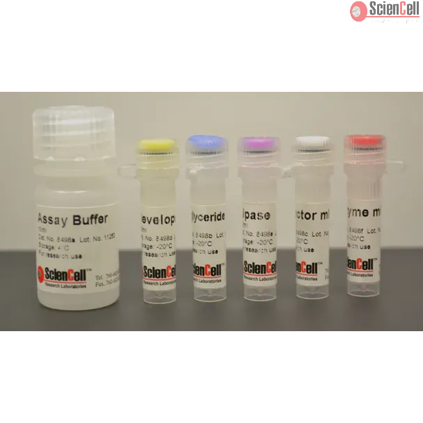 Triglyceride Assay