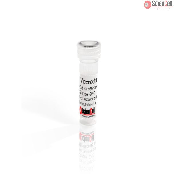 Vitronectin SC