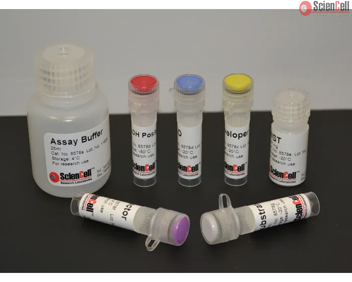 Aldehyde Dehydrogenase Assay