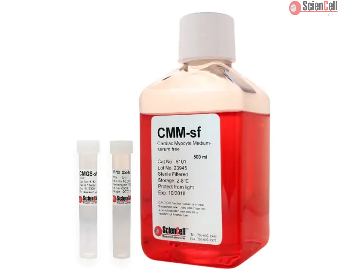 Cardiac Myocyte Medium-serum free