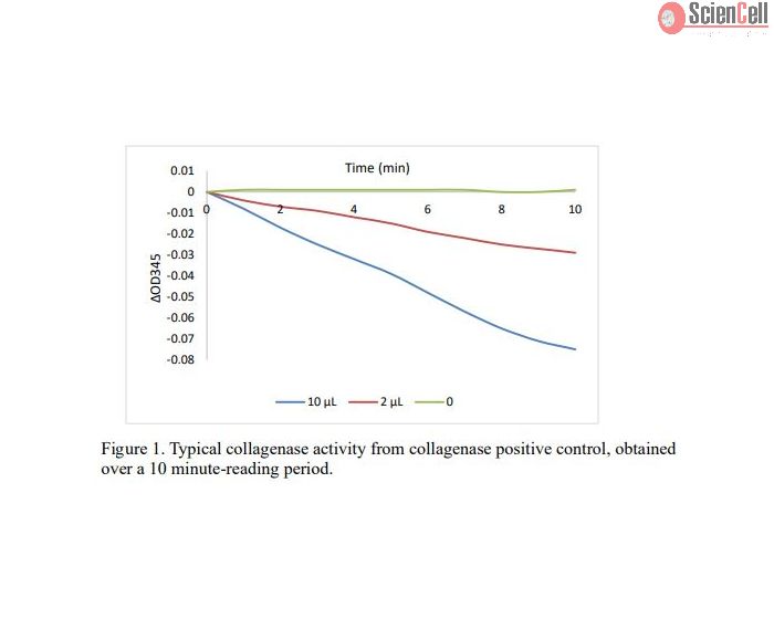 Figure 1. Typical collagenase activity from collagenase positive control, obtained
over a 10 minute-reading period.