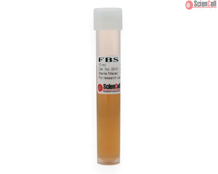 Fetal Bovine Serum, 10 ml