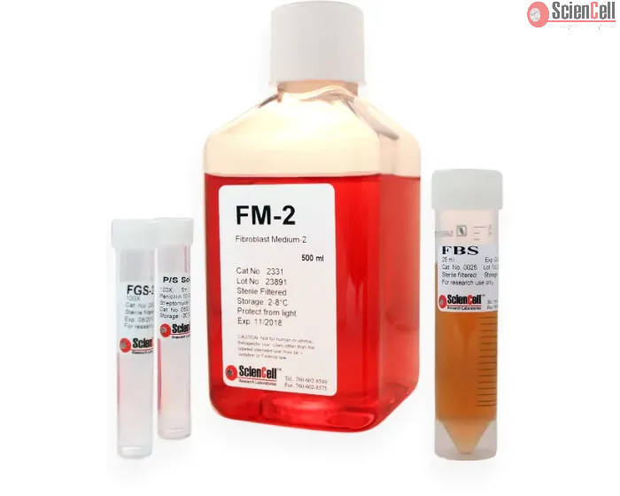 Fibroblast Medium-2