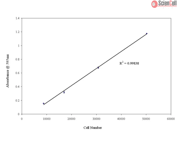 Fibronectin Cell Adhesion Assay