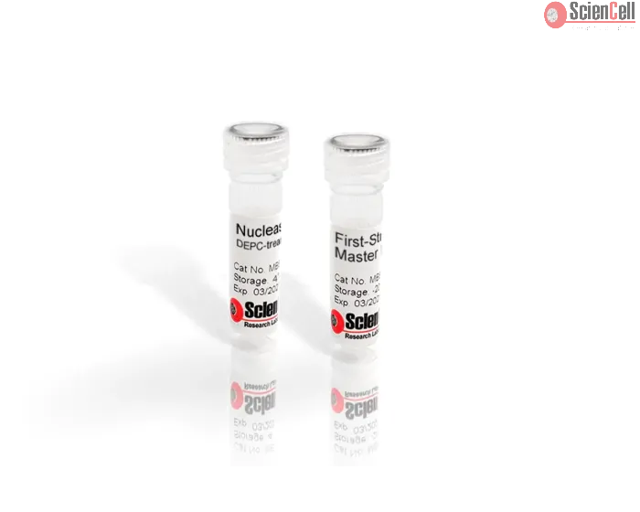 First-Strand cDNA Synthesis Master Mix, 4x