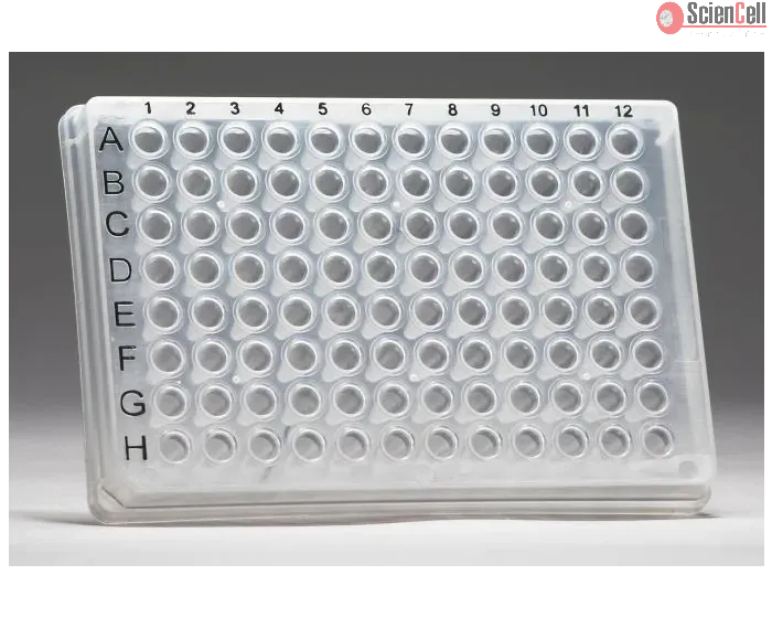 GeneQuery™ Human Esophageal Cancer qPCR Array Kit