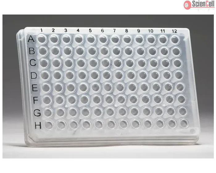 GeneQuery™ Human FAS/FASL Signaling qPCR Array Kit