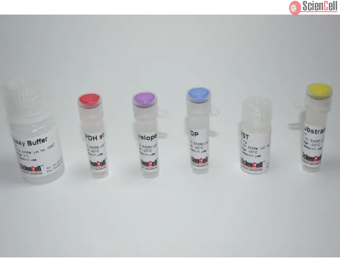 Glucose-6-phosphate Dehydrogenase Assay