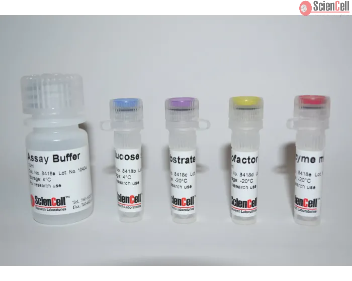 Glucose Assay