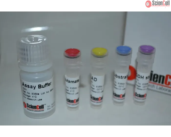 Glutamate Dehydrogenase Assay