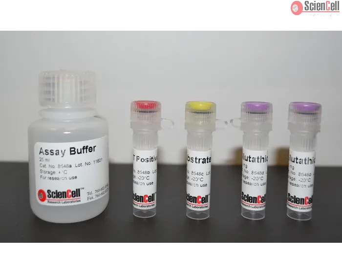 Glutathione S-transferases Assay