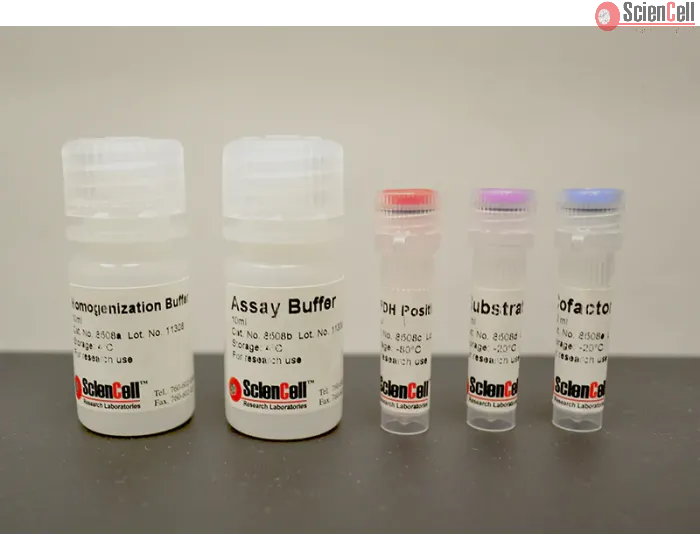 Glycerol-3-phosphate Dehydrogenase Assay