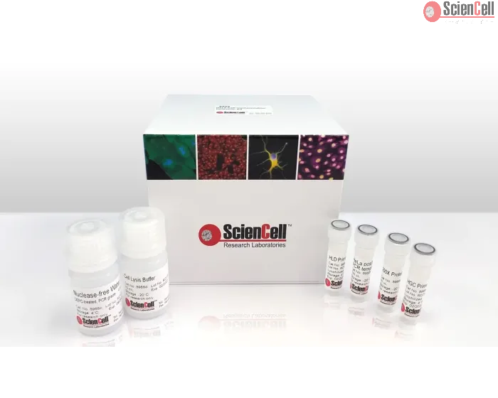 HeLa Cell Contamination Detection Kit